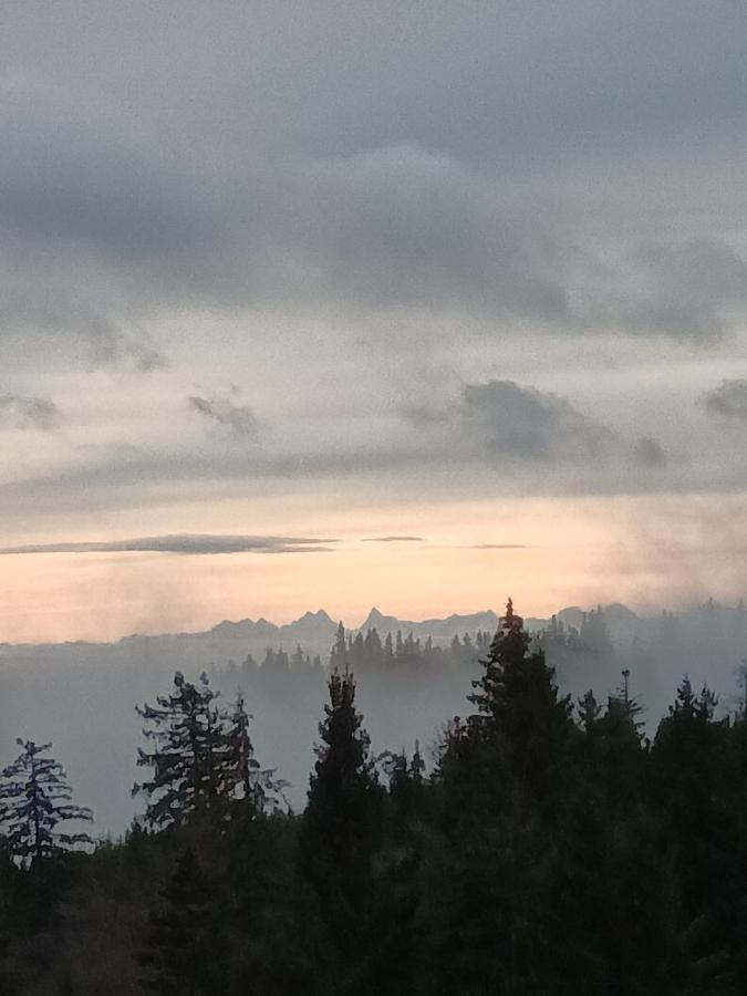 Terre De Sapins - Gites Nature Haut De Gamme Avec Sauna Au Coeur Du Lac Blanc Orbey Eksteriør bilde