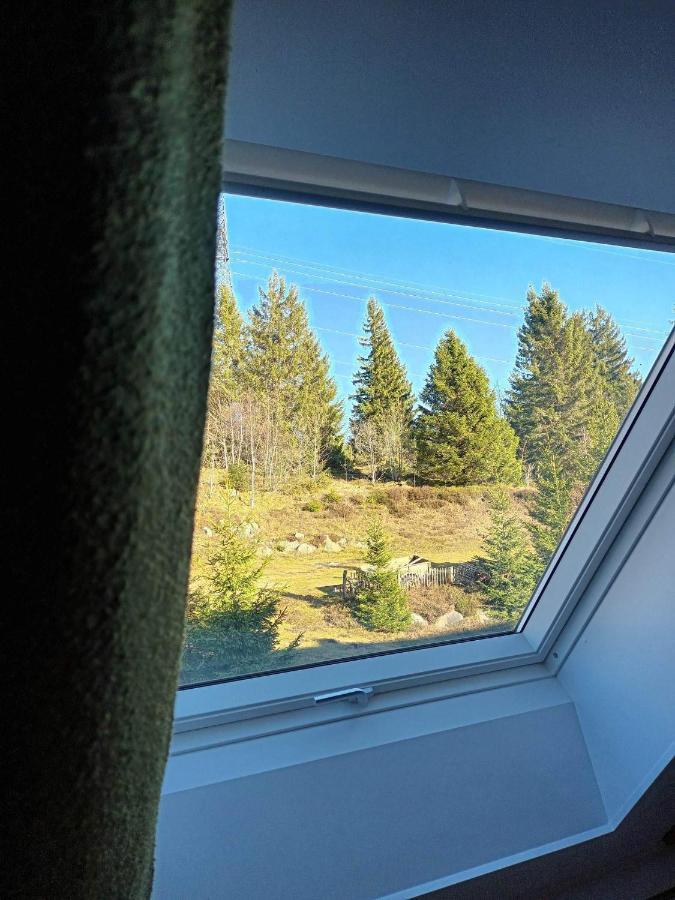 Terre De Sapins - Gites Nature Haut De Gamme Avec Sauna Au Coeur Du Lac Blanc Orbey Eksteriør bilde