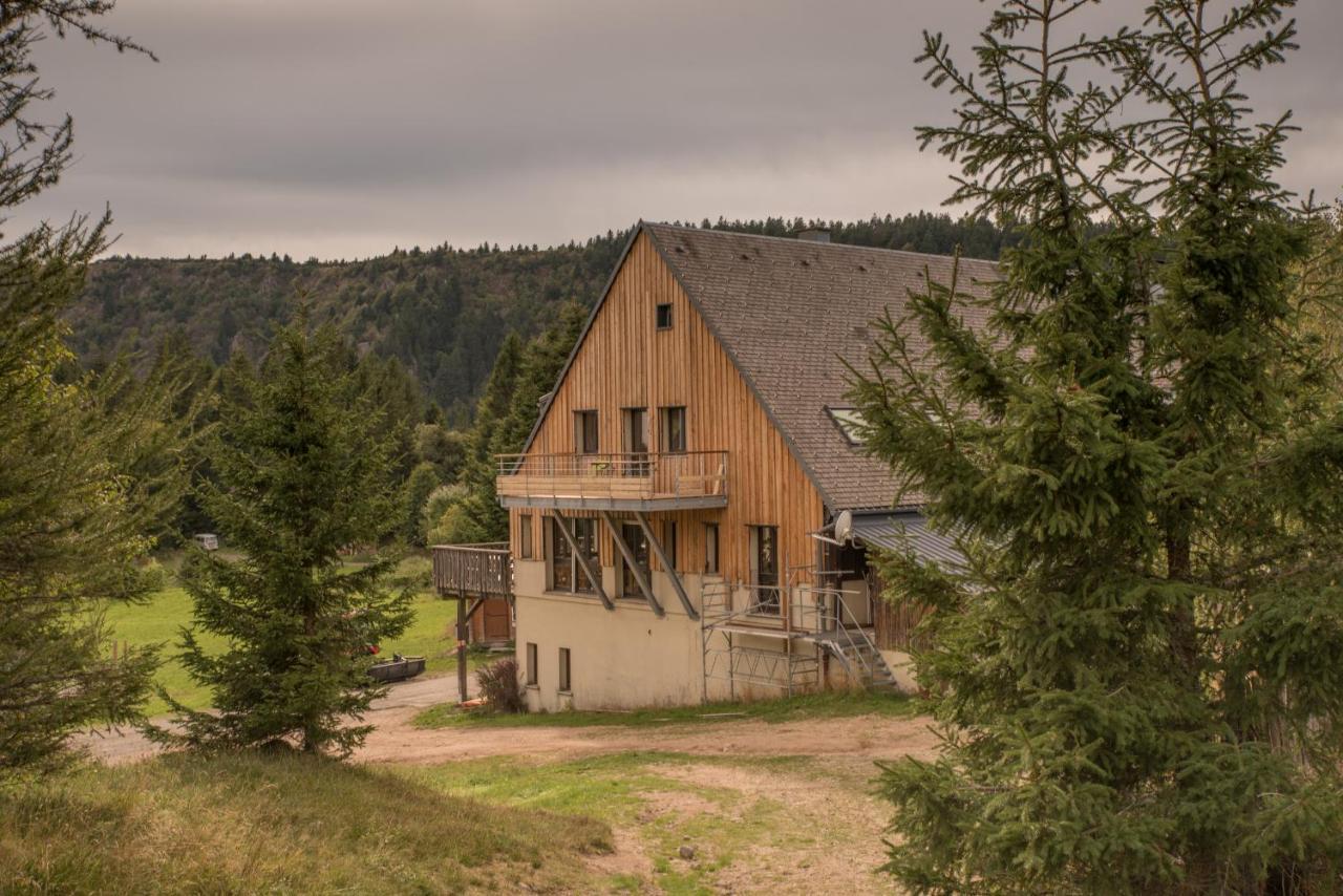 Terre De Sapins - Gites Nature Haut De Gamme Avec Sauna Au Coeur Du Lac Blanc Orbey Eksteriør bilde