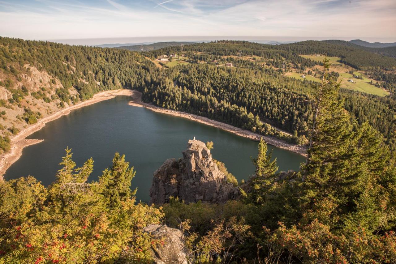 Terre De Sapins - Gites Nature Haut De Gamme Avec Sauna Au Coeur Du Lac Blanc Orbey Eksteriør bilde